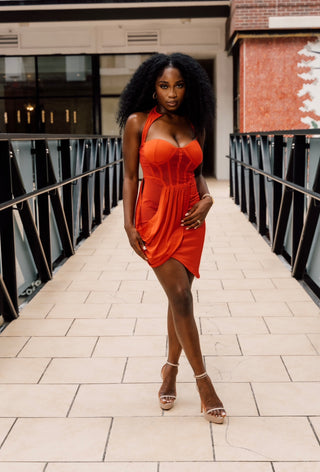 Playmate Dress